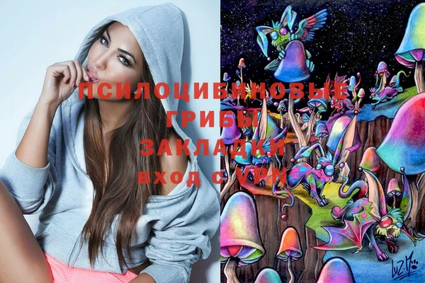 индика Кукмор