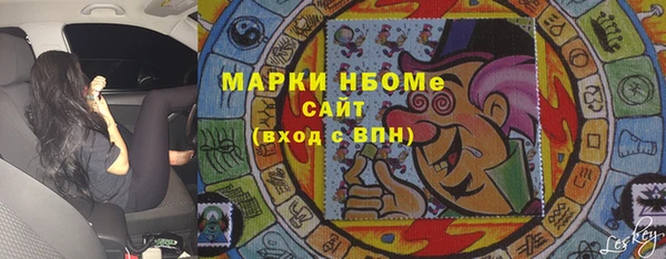 мдпв Краснослободск
