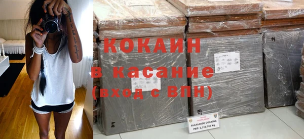 индика Кукмор
