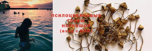 дживик Ладушкин