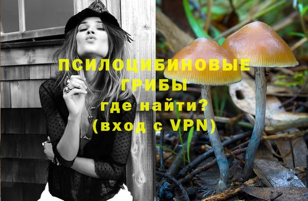 мяу мяу мука Куйбышев