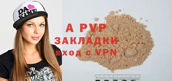 индика Кукмор