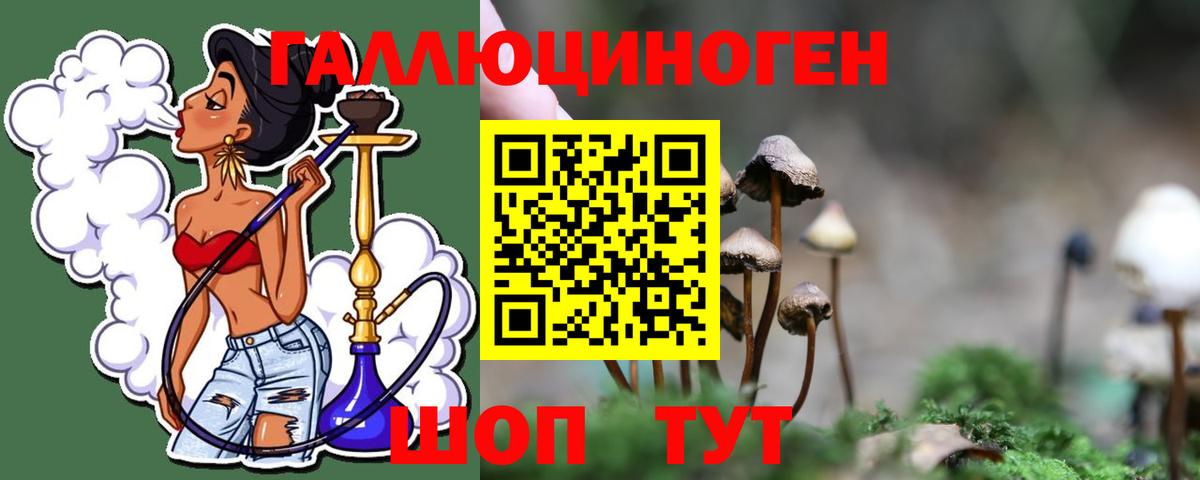 Псилоцибиновые грибы мицелий Кумертау